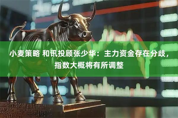 小麦策略 和讯投顾张少华：主力资金存在分歧，指数大概将有所调整