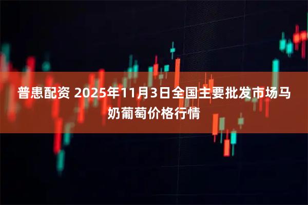 普患配资 2025年11月3日全国主要批发市场马奶葡萄价格行情