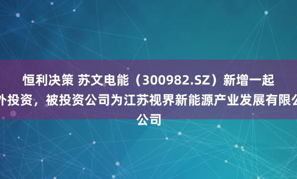 恒利决策 苏文电能（300982.SZ）新增一起对外投资，被投资公司为江苏视界新能源产业发展有限公司