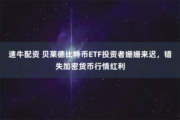 速牛配资 贝莱德比特币ETF投资者姗姗来迟，错失加密货币行情红利