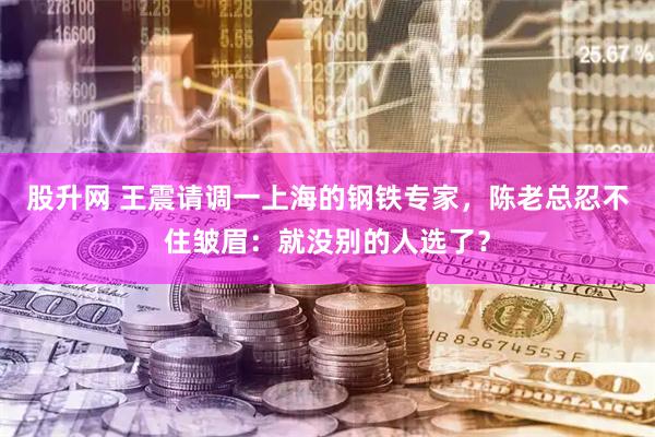 股升网 王震请调一上海的钢铁专家,陈老总忍不住皱眉:就没别的人选了?