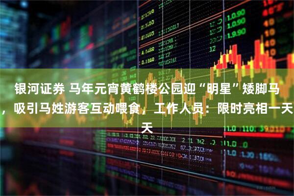 银河证券 马年元宵黄鹤楼公园迎“明星”矮脚马，吸引马姓游客互动喂食，工作人员：限时亮相一天