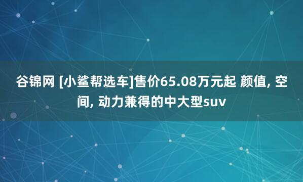 谷锦网 [小鲨帮选车]售价65.08万元起 颜值, 空间, 动力兼得的中大型suv